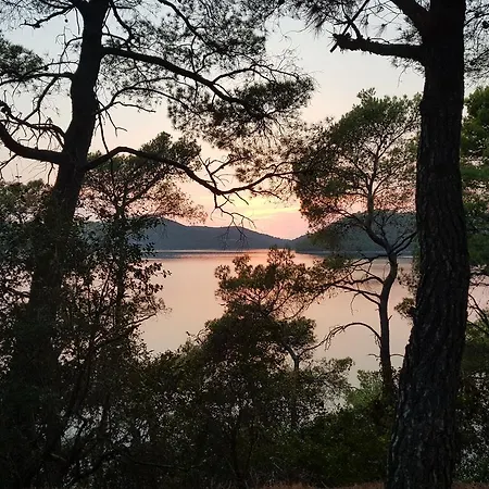 Mljet *