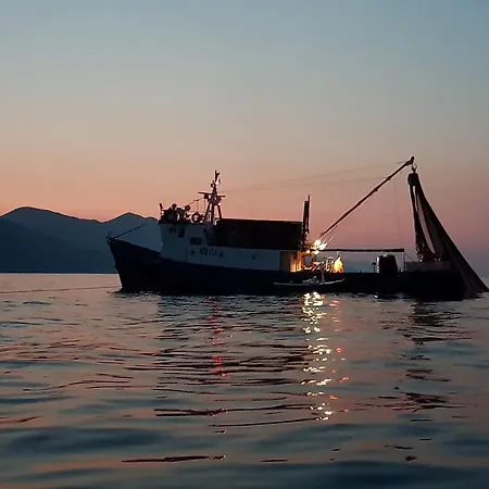 Mljet Apartament Goveđari