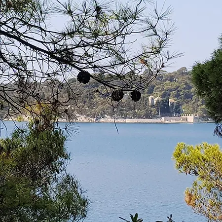 Mljet Goveđari