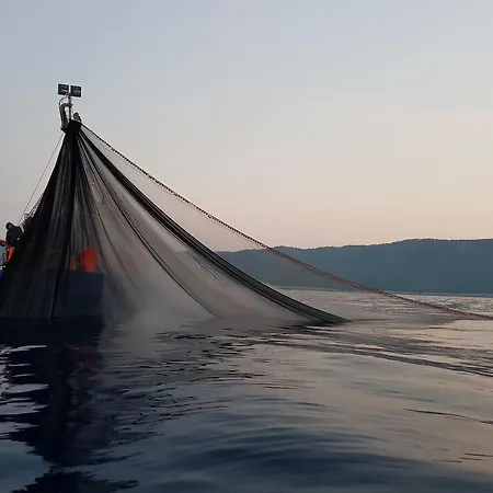 Mljet Διαμέρισμα *