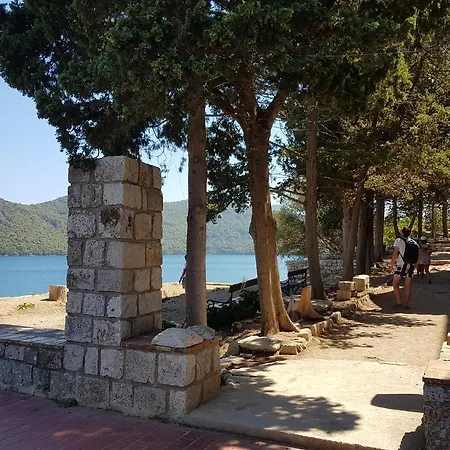 Mljet